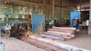 Warehouse & Sawmill Photos